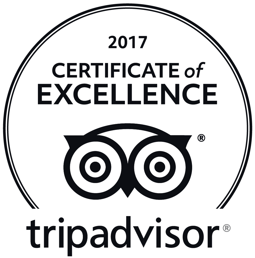 trip advicer logo