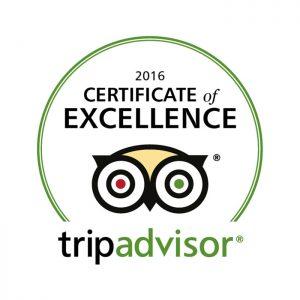 tripadvisor